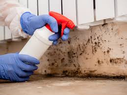 Best Crawl Space Mold Remediation  in Eglin Af, FL